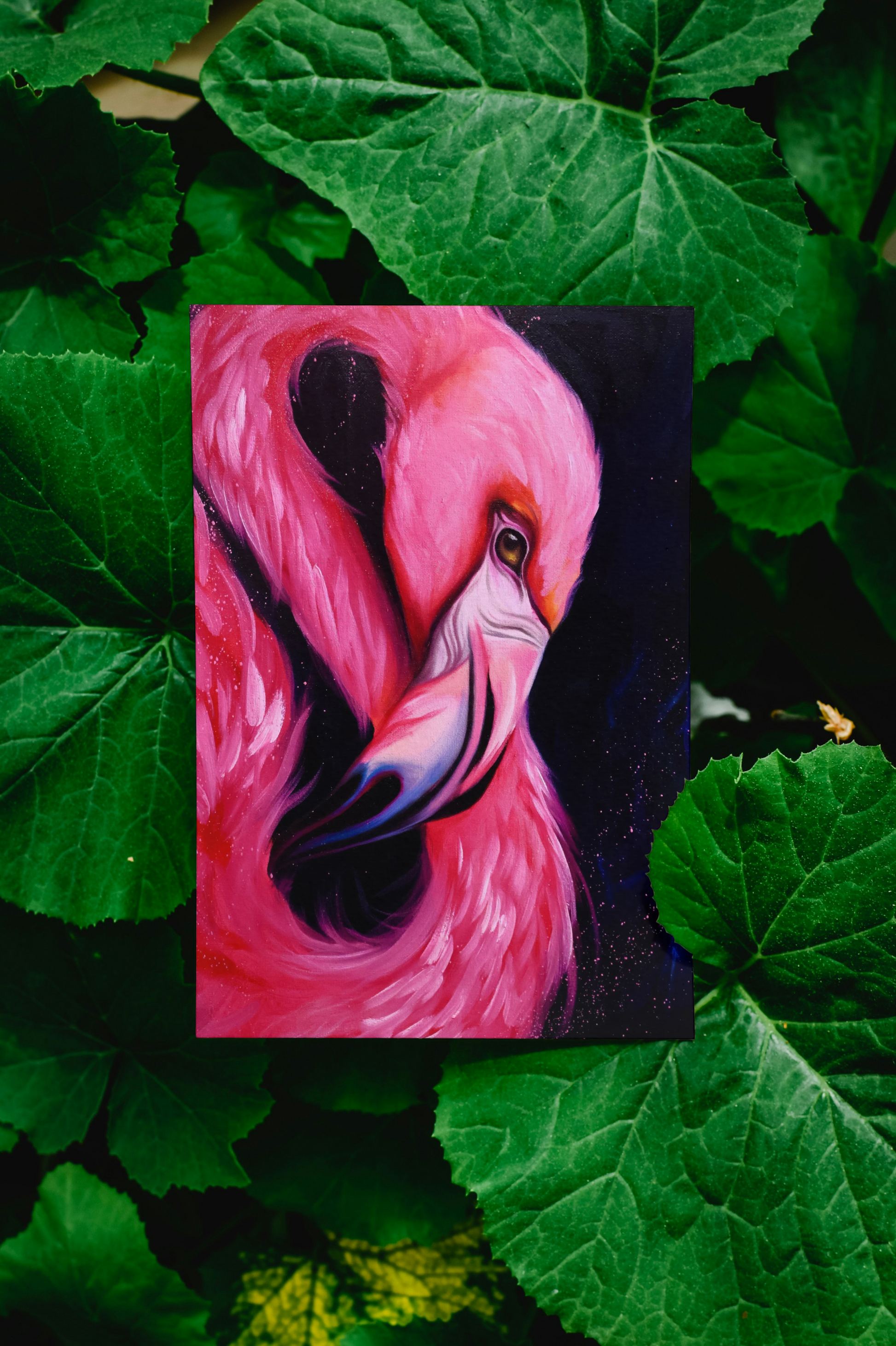 Flamingo